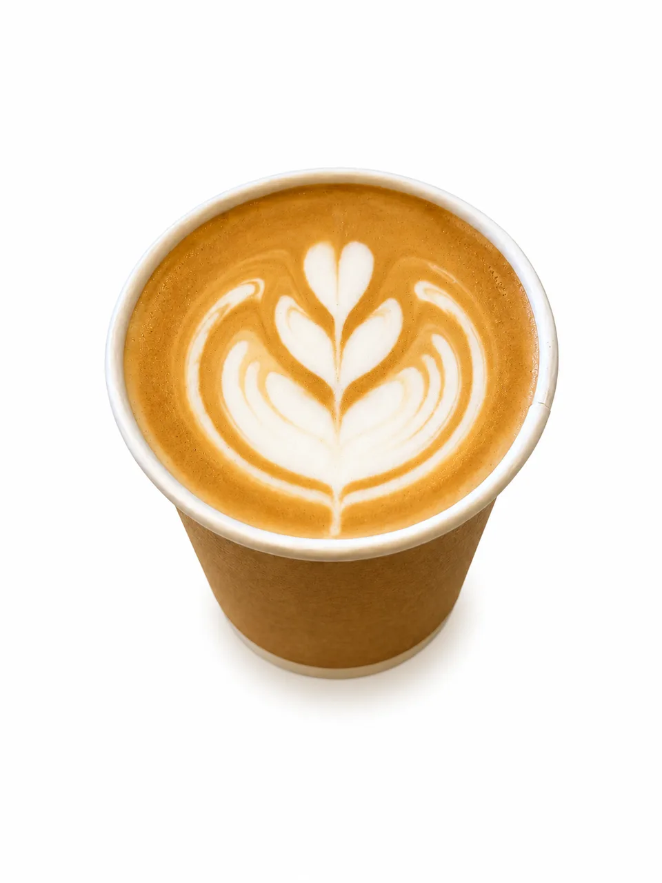Latte (Hot)
